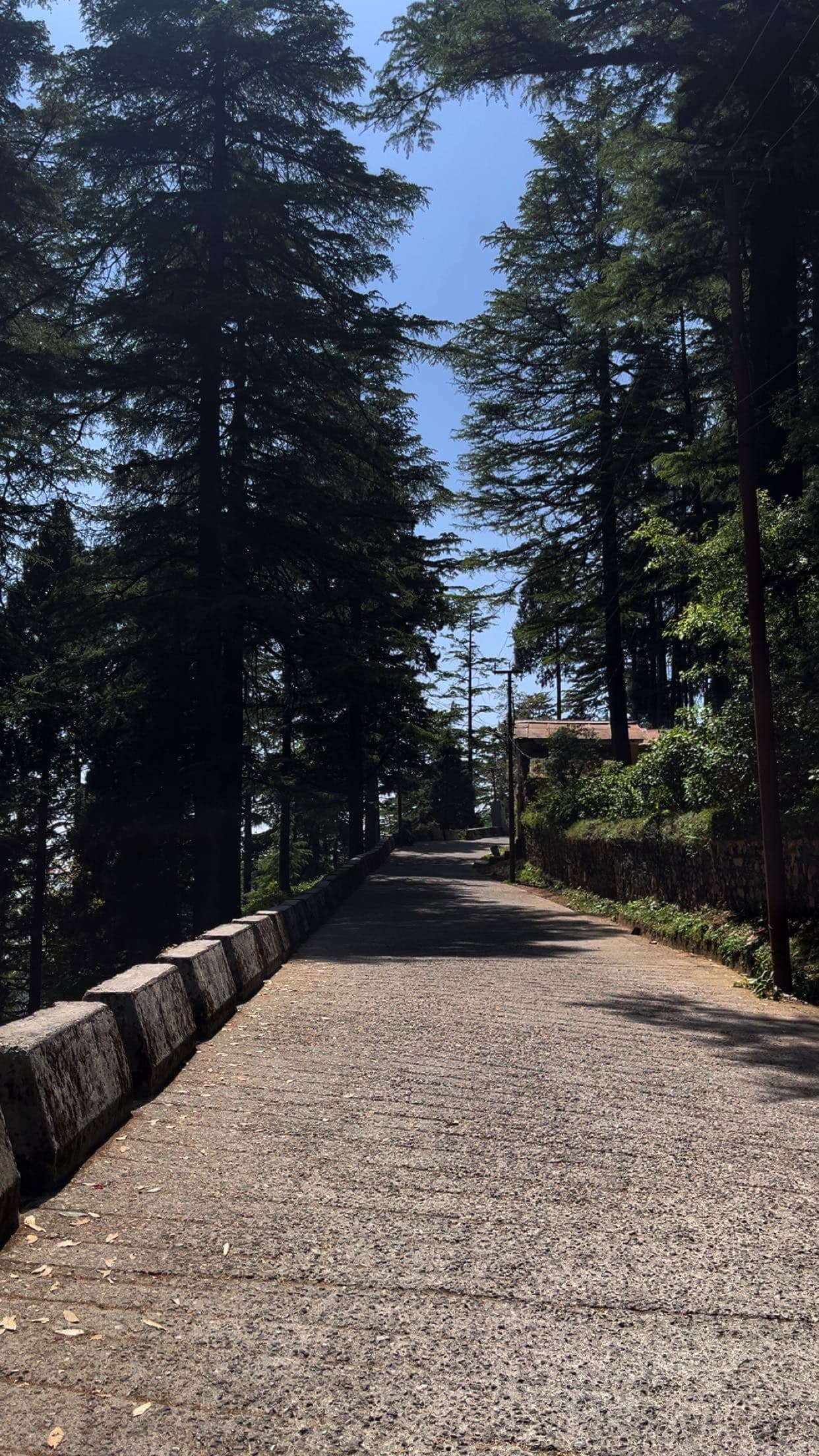 Streets of Landour